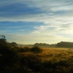 DSCF0736