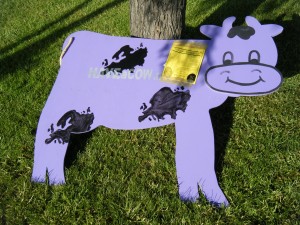 Purple Cow