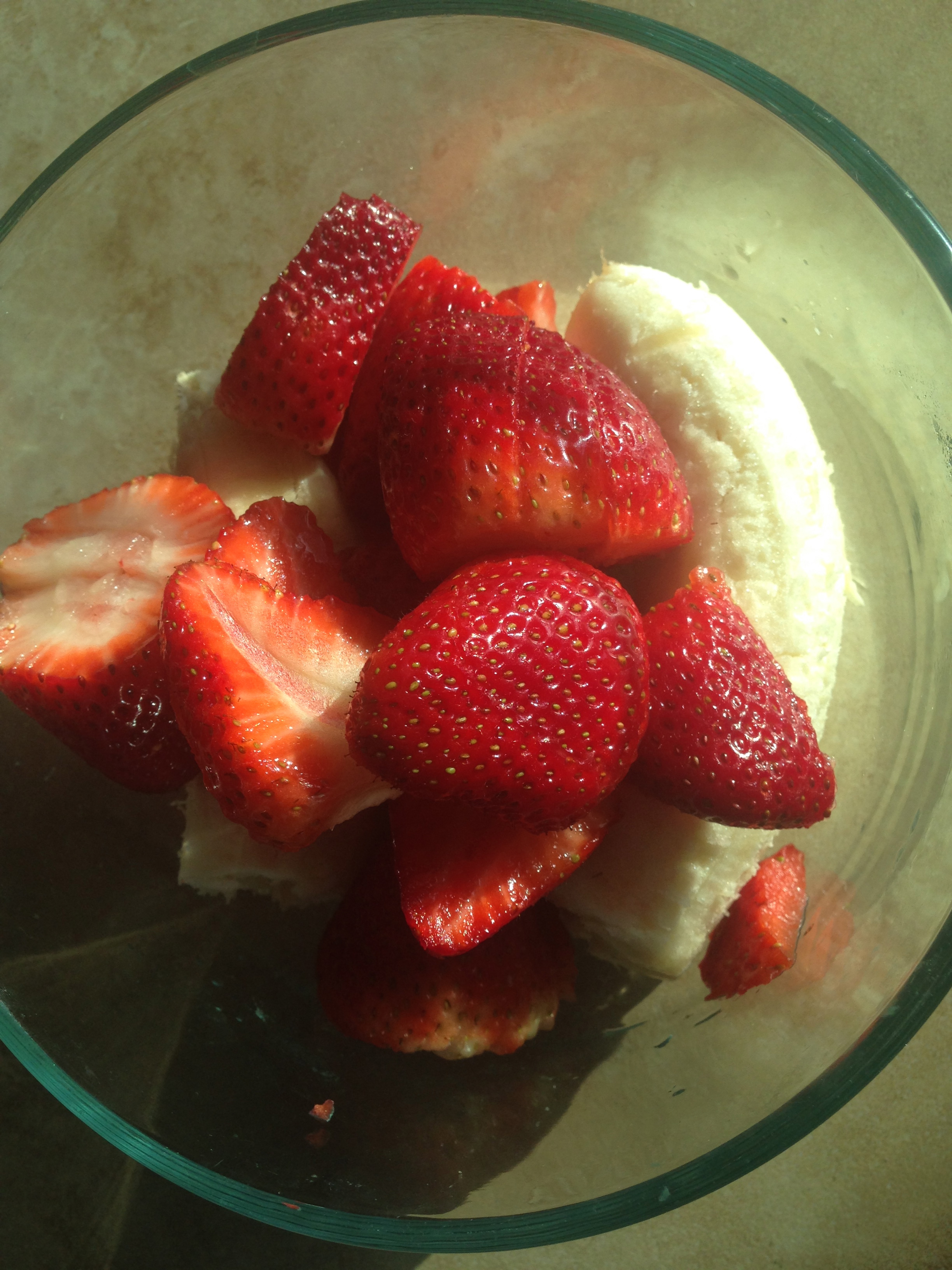 Never Going Back: Homemade Yogurt - Blogging Away Debt Blogging Away Debt