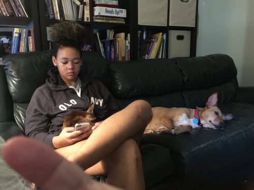 Princess & Cali enjoying our new couch