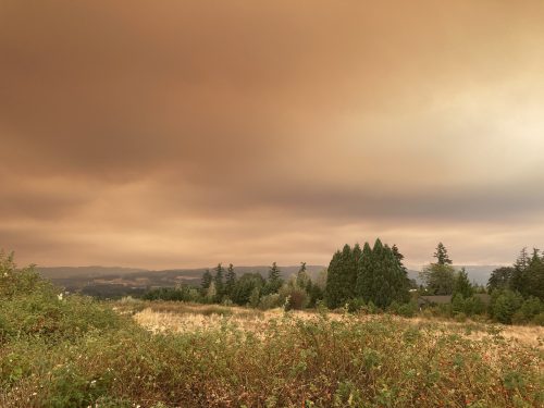 Wildfires, Winds, and Emergency Funds