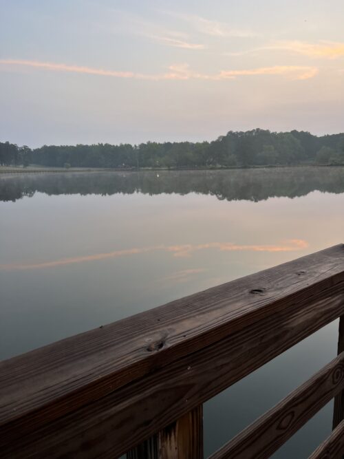 lake view during my morning walk