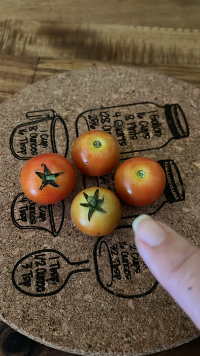 baby tomatoes from my garden