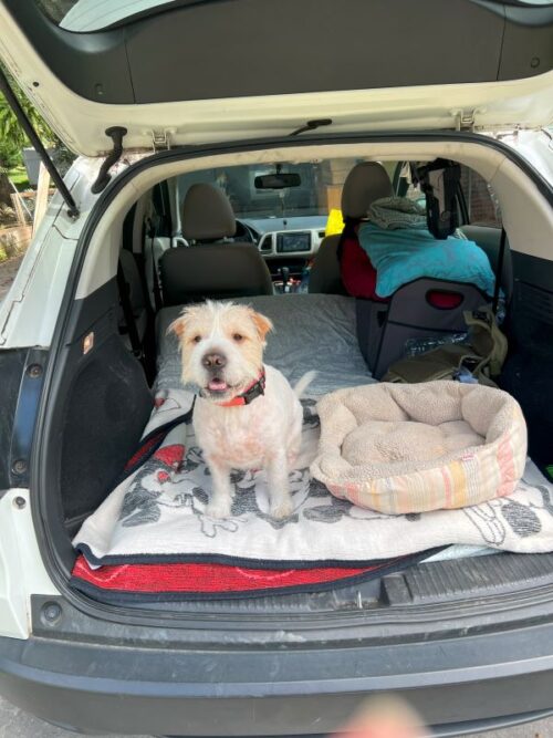 Addie and I ready to leave for our 10 day, 2,300 mile roadtrip to Texas