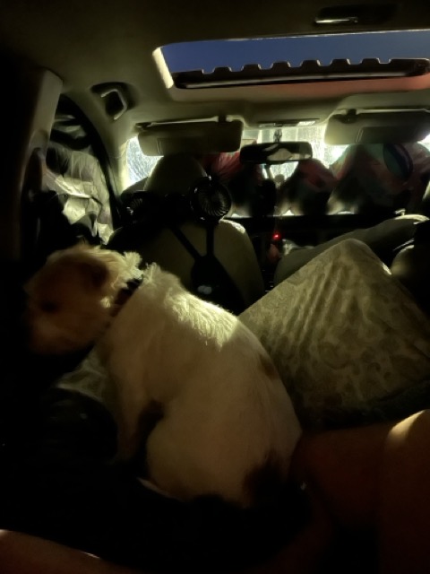 Truck Cease Lavatory – Running a blog Away Debt Running a blog Away Debt Truck Cease Lavatory – Running a blog Away Debt Running a blog Away Debt