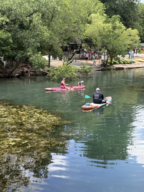 Hope, Addie and Austen out at Barton Springs in Austin, TX on their paddleboards.